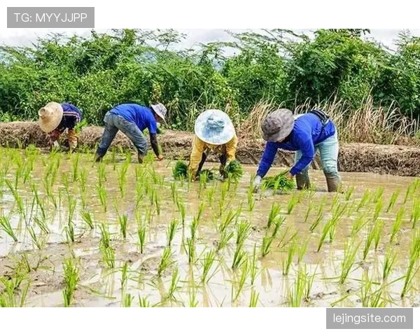 杨力维随手一刷卡的消费明细，我看完只想回老家种地